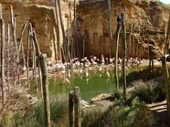 149 BIO PARC DE DOUE LA FONTAINE 6- 2016_000007